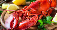 Why lobster was considered a fertilizer in the past?